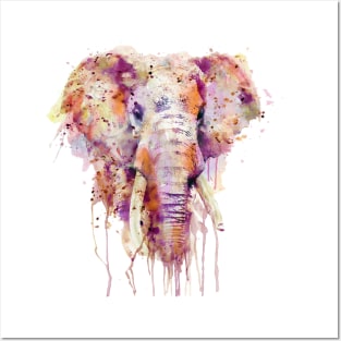 Elephant Posters and Art